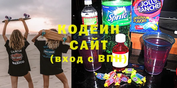 стаф Верея